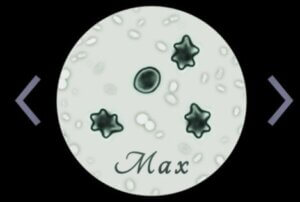 DR 3-7 Lab Max